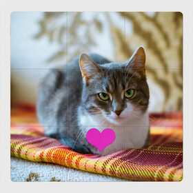 Магнитный плакат 3Х3 с принтом действительно любит меня в Петрозаводске, Полимерный материал с магнитным слоем | 9 деталей размером 9*9 см | взгляд | кот | кошатникам | любит меня | люблю его | люблю котов | одиночкам | плед | романтика | сердечко | сердце | уют
