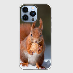 Чехол для iPhone 13 Pro с принтом белка с орехом на снегу в Петрозаводске,  |  | белка | белочка | бельченок | вкусняшка | животные | запасы | звери | зима | орех | снег