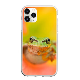 Чехол для iPhone 11 Pro матовый с принтом лягушка в цветке мило в Петрозаводске, Силикон |  | жаба | жабка | земноводное | ква | квакуха | лягушенок | лягушка | макро | мило | природа | пыльца | цветок