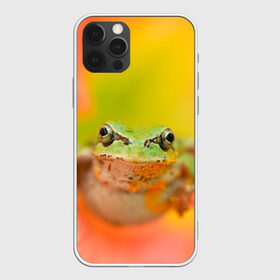 Чехол для iPhone 12 Pro Max с принтом лягушка в цветке мило в Петрозаводске, Силикон |  | Тематика изображения на принте: жаба | жабка | земноводное | ква | квакуха | лягушенок | лягушка | макро | мило | природа | пыльца | цветок