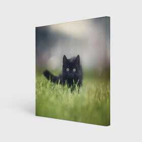 Холст квадратный с принтом черный кот на лугу в Петрозаводске, 100% ПВХ |  | взгляд | внутренний | глаза | животные | звери | зверь | кот | котейка | котик | коты | котэ | кошки | лапы | нос | образ | прыжок | смотрит в душу | усы | уши | черный | черныш | шерсть