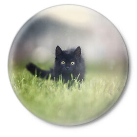 Значок с принтом черный кот на лугу в Петрозаводске,  металл | круглая форма, металлическая застежка в виде булавки | Тематика изображения на принте: взгляд | внутренний | глаза | животные | звери | зверь | кот | котейка | котик | коты | котэ | кошки | лапы | нос | образ | прыжок | смотрит в душу | усы | уши | черный | черныш | шерсть