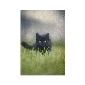 Обложка для паспорта матовая кожа с принтом черный кот на лугу в Петрозаводске, натуральная матовая кожа | размер 19,3 х 13,7 см; прозрачные пластиковые крепления | Тематика изображения на принте: взгляд | внутренний | глаза | животные | звери | зверь | кот | котейка | котик | коты | котэ | кошки | лапы | нос | образ | прыжок | смотрит в душу | усы | уши | черный | черныш | шерсть