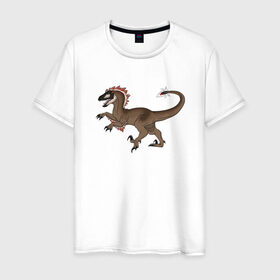 Мужская футболка хлопок с принтом Раптор в Петрозаводске, 100% хлопок | прямой крой, круглый вырез горловины, длина до линии бедер, слегка спущенное плечо. | дино | динозавр | динозавры | животные | звери | охотники динозавры | раптор | рапторы | тиранозавр | хищники животные