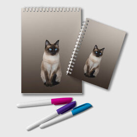 Блокнот с принтом Сиамский кот голубые глаза в Петрозаводске, 100% бумага | 48 листов, плотность листов — 60 г/м2, плотность картонной обложки — 250 г/м2. Листы скреплены удобной пружинной спиралью. Цвет линий — светло-серый
 | арт | бежевый | градиент | киса | коричневый | кот | котейка | котенок | котик | котэ | кошка | реализм | сиамец | сиамский