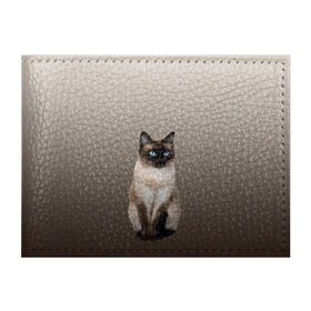 Обложка для студенческого билета с принтом Сиамский кот голубые глаза в Петрозаводске, натуральная кожа | Размер: 11*8 см; Печать на всей внешней стороне | арт | бежевый | градиент | киса | коричневый | кот | котейка | котенок | котик | котэ | кошка | реализм | сиамец | сиамский