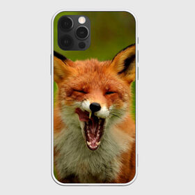 Чехол для iPhone 12 Pro Max с принтом Лисица в Петрозаводске, Силикон |  | fox | foxy | животное | звери | лиса | лисенок | лисичка | милая | рыжая | фокс