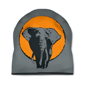 Шапка 3D с принтом Африканский Слон в Петрозаводске, 100% полиэстер | универсальный размер, печать по всей поверхности изделия | африка | графика | дикий мир | животное | персонаж | природа | рисунок | слон