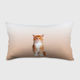 Подушка 3D антистресс с принтом бело-рыжий котенок реализм в Петрозаводске, наволочка — 100% полиэстер, наполнитель — вспененный полистирол | состоит из подушки и наволочки на молнии | Тематика изображения на принте: cat | kitten | бело рыжий | градиент | кот | котейка | котенок | котеночек | котик | котофей | котэ | кошка | малыш | милаш | мяу | нэко | реализм | рыже белый