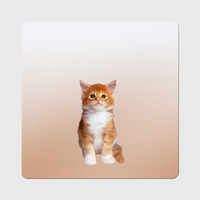 Магнит виниловый Квадрат с принтом бело-рыжий котенок реализм в Петрозаводске, полимерный материал с магнитным слоем | размер 9*9 см, закругленные углы | Тематика изображения на принте: cat | kitten | бело рыжий | градиент | кот | котейка | котенок | котеночек | котик | котофей | котэ | кошка | малыш | милаш | мяу | нэко | реализм | рыже белый