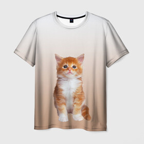 Мужская футболка 3D с принтом бело-рыжий котенок реализм в Петрозаводске, 100% полиэфир | прямой крой, круглый вырез горловины, длина до линии бедер | Тематика изображения на принте: cat | kitten | бело рыжий | градиент | кот | котейка | котенок | котеночек | котик | котофей | котэ | кошка | малыш | милаш | мяу | нэко | реализм | рыже белый