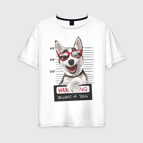Женская футболка хлопок Oversize с принтом Задержанный хаски в Петрозаводске, 100% хлопок | свободный крой, круглый ворот, спущенный рукав, длина до линии бедер
 | очки | преступник | собака | улыбака | улыбка | хаски | хипстер