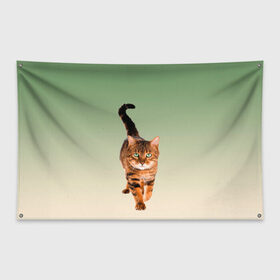 Флаг-баннер с принтом короткошерстный кот идет в Петрозаводске, 100% полиэстер | размер 67 х 109 см, плотность ткани — 95 г/м2; по краям флага есть четыре люверса для крепления | cat | kitten | большой | градиент | зеленые глаза | идет | камышовый | короткошерстный | кот | котейка | котик | кошка | любопытный | мяу | полоски | породистый | реалистичный | рыжий | фото