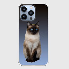 Чехол для iPhone 13 Pro с принтом сиамская милая кошечка в Петрозаводске,  |  | Тематика изображения на принте: cat | kitten | голубые глаза | градиент | кот | котейка | котик | кошечка | кошка | милая | мяу | сиамская | сиамский