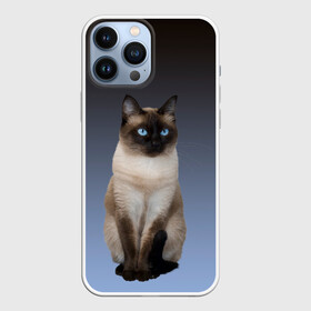 Чехол для iPhone 13 Pro Max с принтом сиамская милая кошечка в Петрозаводске,  |  | cat | kitten | голубые глаза | градиент | кот | котейка | котик | кошечка | кошка | милая | мяу | сиамская | сиамский