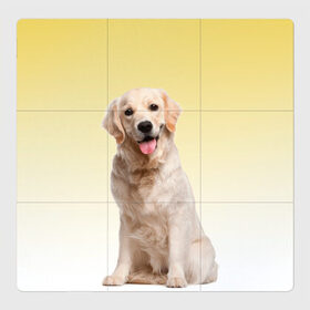 Магнитный плакат 3Х3 с принтом Лабрадор ретривер пес в Петрозаводске, Полимерный материал с магнитным слоем | 9 деталей размером 9*9 см | домашние любимцы | друг | животные | золотистый ретривер | лабрадор | пес | питомец | породистый | собака