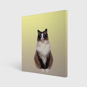 Холст квадратный с принтом персидская пушистая кошка в Петрозаводске, 100% ПВХ |  | ветеринар | градиент | домашний питомец | котейка | котик | коты | котэ | кошатник | кошатница | кошачьи | кошки | любитель животных | мяу | нэко | персидская | сиамская | смесь | шаблон