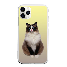 Чехол для iPhone 11 Pro матовый с принтом персидская пушистая кошка в Петрозаводске, Силикон |  | Тематика изображения на принте: ветеринар | градиент | домашний питомец | котейка | котик | коты | котэ | кошатник | кошатница | кошачьи | кошки | любитель животных | мяу | нэко | персидская | сиамская | смесь | шаблон