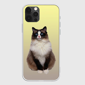 Чехол для iPhone 12 Pro Max с принтом персидская пушистая кошка в Петрозаводске, Силикон |  | ветеринар | градиент | домашний питомец | котейка | котик | коты | котэ | кошатник | кошатница | кошачьи | кошки | любитель животных | мяу | нэко | персидская | сиамская | смесь | шаблон