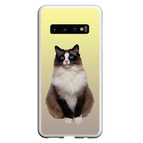 Чехол для Samsung Galaxy S10 с принтом персидская пушистая кошка в Петрозаводске, Силикон | Область печати: задняя сторона чехла, без боковых панелей | ветеринар | градиент | домашний питомец | котейка | котик | коты | котэ | кошатник | кошатница | кошачьи | кошки | любитель животных | мяу | нэко | персидская | сиамская | смесь | шаблон
