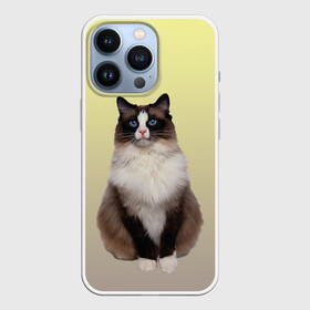 Чехол для iPhone 13 Pro с принтом персидская пушистая кошка в Петрозаводске,  |  | ветеринар | градиент | домашний питомец | котейка | котик | коты | котэ | кошатник | кошатница | кошачьи | кошки | любитель животных | мяу | нэко | персидская | сиамская | смесь | шаблон