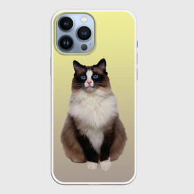 Чехол для iPhone 13 Pro Max с принтом персидская пушистая кошка в Петрозаводске,  |  | ветеринар | градиент | домашний питомец | котейка | котик | коты | котэ | кошатник | кошатница | кошачьи | кошки | любитель животных | мяу | нэко | персидская | сиамская | смесь | шаблон