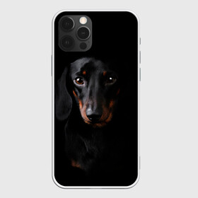 Чехол для iPhone 12 Pro Max с принтом ТАКСА в Петрозаводске, Силикон |  | Тематика изображения на принте: animal | black | dog | photo | глаза | домашние | животные | звери | пес | собакен | собаки | такса | черный
