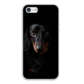 Чехол для iPhone 5/5S матовый с принтом ТАКСА в Петрозаводске, Силикон | Область печати: задняя сторона чехла, без боковых панелей | animal | black | dog | photo | глаза | домашние | животные | звери | пес | собакен | собаки | такса | черный