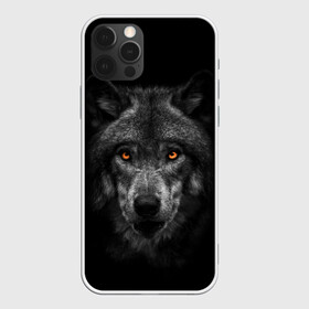 Чехол для iPhone 12 Pro Max с принтом Evil Wolf в Петрозаводске, Силикон |  | animal | beast | dark | darkness | evil | moon | nigth | tegunvteg | werwolf | wild | wolf | вервольф | вой | волк | волки | волчара | дикий | животное | зверь | клык | клыки | луна | ночь | оборотень | полнолуние
