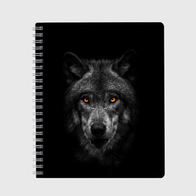 Тетрадь с принтом Evil Wolf в Петрозаводске, 100% бумага | 48 листов, плотность листов — 60 г/м2, плотность картонной обложки — 250 г/м2. Листы скреплены сбоку удобной пружинной спиралью. Уголки страниц и обложки скругленные. Цвет линий — светло-серый
 | Тематика изображения на принте: animal | beast | dark | darkness | evil | moon | nigth | tegunvteg | werwolf | wild | wolf | вервольф | вой | волк | волки | волчара | дикий | животное | зверь | клык | клыки | луна | ночь | оборотень | полнолуние