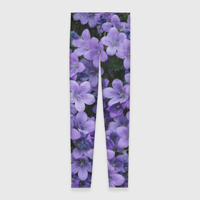 Леггинсы 3D с принтом Фиолетовый цвет весны в Петрозаводске, 80% полиэстер, 20% эластан | Эластичный пояс, зауженные к низу, низкая посадка | art | casual | весенний | весна | градиент | зелень | растения | структура | текстура | цветы