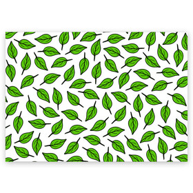 Поздравительная открытка с принтом Листопад в Петрозаводске, 100% бумага | плотность бумаги 280 г/м2, матовая, на обратной стороне линовка и место для марки
 | forest | green | leaves | nature | pattern | spring | summer | весна | ветки | деревья | зеленые листья | зеленый узор | зелень | камуфляж листья | лето | листья | падающие листья | природа | растения | текстура | тропики