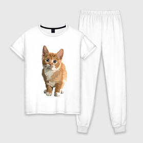 Женская пижама хлопок с принтом Котик в Петрозаводске, 100% хлопок | брюки и футболка прямого кроя, без карманов, на брюках мягкая резинка на поясе и по низу штанин | cat | кот | котенок | котэ | рыжий котик