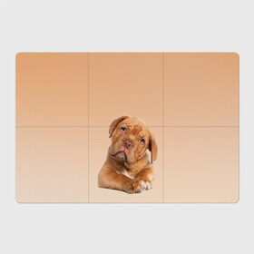 Магнитный плакат 3Х2 с принтом питбуль в Петрозаводске, Полимерный материал с магнитным слоем | 6 деталей размером 9*9 см | ветеринару | гав | животные домашние | любителю собак | млекопитающее | мопс | мультипликационный персонаж | мультяшная собака | песики | питбуль | питомцы | псы | собакены | собаки | собачки