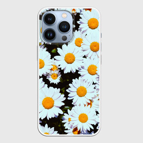 Чехол для iPhone 13 Pro с принтом Ромашки в Петрозаводске,  |  | Тематика изображения на принте: 2021 | бабочка | весенняя | весна | вишня | вселенная | коронавирус | космос | лето | лилия | мимоза | океан | отпуск | роза | розы | ромашка | ромашки | с бабочками | с цветами | сад | сакура | фиалка