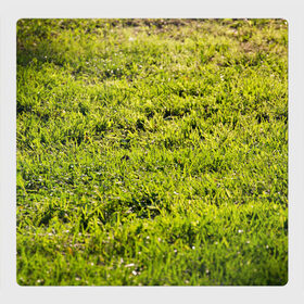 Магнитный плакат 3Х3 с принтом Трава под солнцем в Петрозаводске, Полимерный материал с магнитным слоем | 9 деталей размером 9*9 см | green day | nature | spring | summer | sun | весна | день | зелень | лес | лето | парк | поле | поляна | природа | природа россии | растения | русская природа | сад | салатовый | солнце | солнышко | сочный | текстура | тр