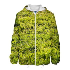 Мужская куртка 3D с принтом Трава под солнцем в Петрозаводске, ткань верха — 100% полиэстер, подклад — флис | прямой крой, подол и капюшон оформлены резинкой с фиксаторами, два кармана без застежек по бокам, один большой потайной карман на груди. Карман на груди застегивается на липучку | green day | nature | spring | summer | sun | весна | день | зелень | лес | лето | парк | поле | поляна | природа | природа россии | растения | русская природа | сад | салатовый | солнце | солнышко | сочный | текстура | тр