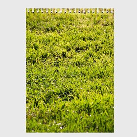Скетчбук с принтом Трава под солнцем в Петрозаводске, 100% бумага
 | 48 листов, плотность листов — 100 г/м2, плотность картонной обложки — 250 г/м2. Листы скреплены сверху удобной пружинной спиралью | green day | nature | spring | summer | sun | весна | день | зелень | лес | лето | парк | поле | поляна | природа | природа россии | растения | русская природа | сад | салатовый | солнце | солнышко | сочный | текстура | тр