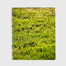 Тетрадь с принтом Трава под солнцем в Петрозаводске, 100% бумага | 48 листов, плотность листов — 60 г/м2, плотность картонной обложки — 250 г/м2. Листы скреплены сбоку удобной пружинной спиралью. Уголки страниц и обложки скругленные. Цвет линий — светло-серый
 | green day | nature | spring | summer | sun | весна | день | зелень | лес | лето | парк | поле | поляна | природа | природа россии | растения | русская природа | сад | салатовый | солнце | солнышко | сочный | текстура | тр