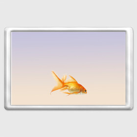 Магнит 45*70 с принтом золотая рыбка в Петрозаводске, Пластик | Размер: 78*52 мм; Размер печати: 70*45 | аквариум | градиент | золотая рыбка | подводный мир | рыба | рыбешка | рыбка