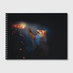 Альбом для рисования с принтом Лиса и огонек в Петрозаводске, 100% бумага
 | матовая бумага, плотность 200 мг. | fox | foxy | животное | звери | лиса | лисенок | лисичка | милая | рыжая | фокс