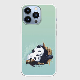 Чехол для iPhone 13 Pro с принтом акварельные панды в Петрозаводске,  |  | акварель | двое | животные | звери | мило | мишки | обнимашки | панды | пара | природа | рисунок
