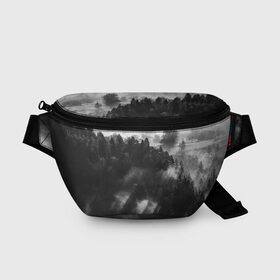 Поясная сумка 3D с принтом Туман в лесу в Петрозаводске, 100% полиэстер | плотная ткань, ремень с регулируемой длиной, внутри несколько карманов для мелочей, основное отделение и карман с обратной стороны сумки застегиваются на молнию | tegunvteg | деревья | лес | листья | природа | темный лес | туман