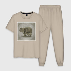 Мужская пижама хлопок с принтом Слоны в Петрозаводске, 100% хлопок | брюки и футболка прямого кроя, без карманов, на брюках мягкая резинка на поясе и по низу штанин
 | иллюстрация | рисунок | серый | слон | слоненок