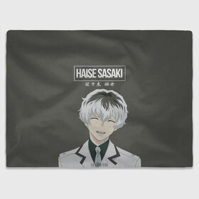 Плед 3D с принтом HAISE SASAKE Tokyo Ghoul в Петрозаводске, 100% полиэстер | закругленные углы, все края обработаны. Ткань не мнется и не растягивается | anime | kaneki ken | tokyo ghoul | tokyo ghoul: re | аниме | анимэ | гули | джузо сузуя | канеки кен | кузен йошимура | наки | нишики нишио | ре | ренджи йомо | ризе камиширо | токийский гуль | тоука киришима | ута