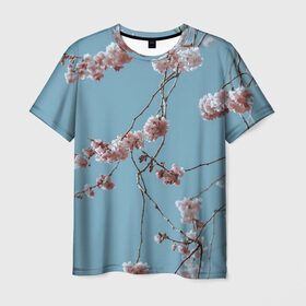 Мужская футболка 3D с принтом Весна в Петрозаводске, 100% полиэфир | прямой крой, круглый вырез горловины, длина до линии бедер | весна | небо | сакура | свежесть | цветы