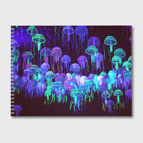 Альбом для рисования с принтом Неоновые медузы в Петрозаводске, 100% бумага
 | матовая бумага, плотность 200 мг. | Тематика изображения на принте: вода | животные | медузы | неон | неоновые