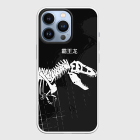 Чехол для iPhone 13 Pro с принтом T rex в Петрозаводске,  |  | t rex | динозавр | древний | иероглифы | краска | разводы | скелет | тиранозавр | череп