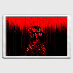 Магнит 45*70 с принтом CANNIBAL CORPSE в Петрозаводске, Пластик | Размер: 78*52 мм; Размер печати: 70*45 | blood | cannibal corpse | death metal | grunge | hardcore | music | punk | rock | usa | группа | канибал | кровь | метал | музыка | рок | сша | труп