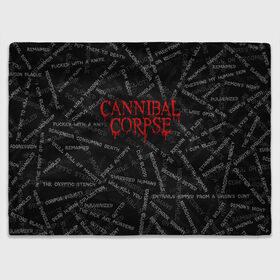 Плед 3D с принтом Cannibal Corpse | Songs (Z) в Петрозаводске, 100% полиэстер | закругленные углы, все края обработаны. Ткань не мнется и не растягивается | cannibal | cannibal corpse | corpse | death metal | deathgrind | алекс уэбстер | брутальный дэт метал | дэт метал | дэтграйнд | пол мазуркевич | роб барретт | труп каннибала